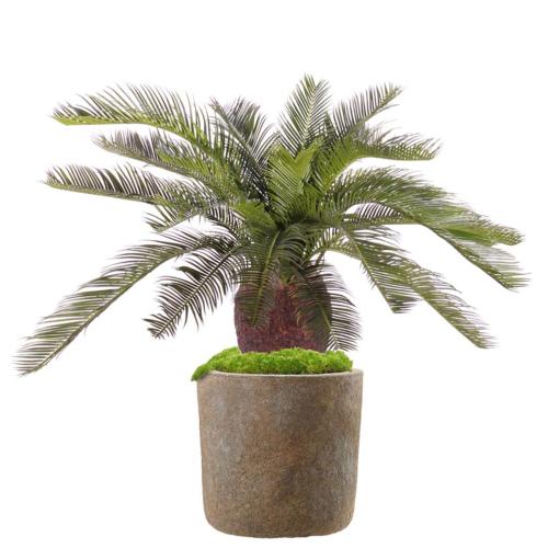 Cycas Artificiel Palmier En Pot H 70 Cm