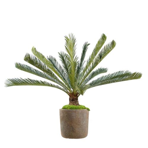 Cycas Artificiel Palmier En Pot